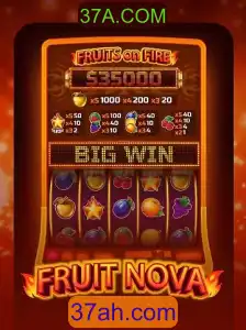 Descubra o Mundo de FruitNova: Um Jogo Fascinante de Entretenimento