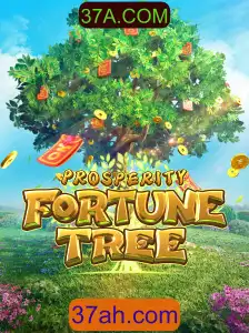Explorando o Empolgante Mundo de ProsperityFortuneTree